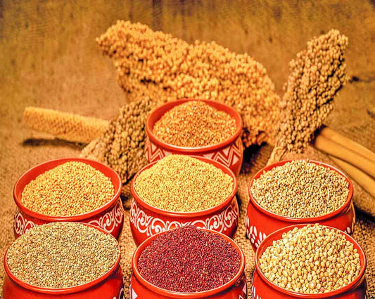 The pioneer- millets’ importance grows worldwide